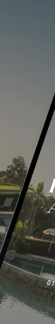 A Dream Destination, an Excellent Online Experience